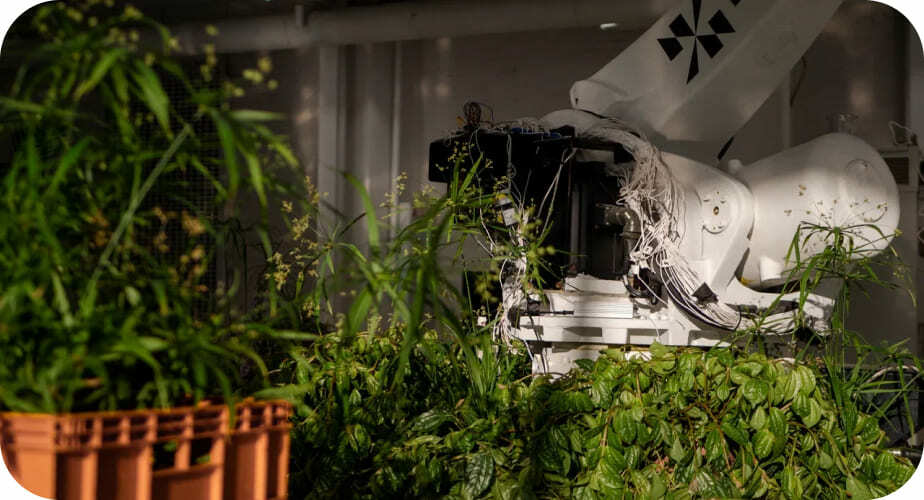Дизавод x Flowgardenz / Робосадовник