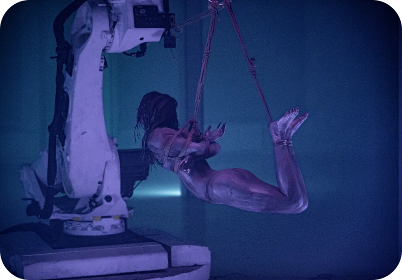 Roboshibari